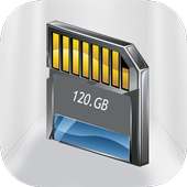 100 GB Storage Card SD