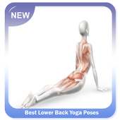 Best Lower Back Yoga Poses