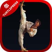 Ultimate Martial Arts Training on 9Apps