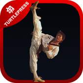 Ultimate Martial Arts Training