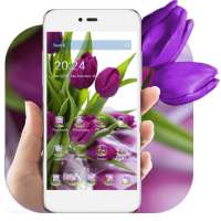 HD Фиолетовый тюльпан обои