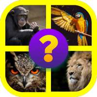 Animal Quiz: Guess the Animal Game