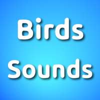 Birds Sound Ringtones Free Download