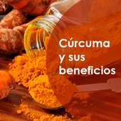 Curcuma salud y enfermedades on 9Apps