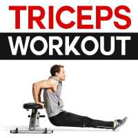 Triceps Workout - 30 Effective