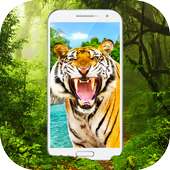 Tiger in Phone Prank