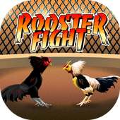 Rooster Fight - Chicken Fight