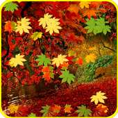 Autumn Leaves Falling LWP