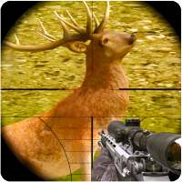 Animal Deer Hunting 2021