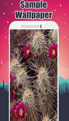 Cactus Wallpaper 🌵 2 تصوير الشاشة