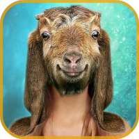 Animal Face Changer Maker on 9Apps