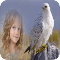 Birds Photo Frames on 9Apps