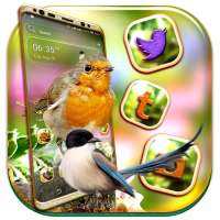 Bird Launcher Theme