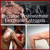 Increase Testosterone And Decrease Estrogen