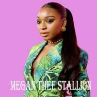 megan thee stallion - savage music offline on 9Apps