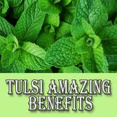 Tulsi Amazing Health and Beauty Benefits