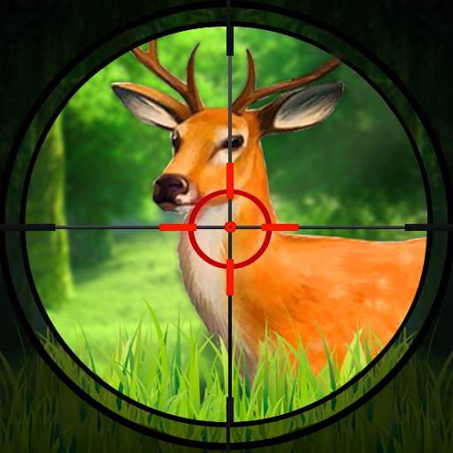 Animal Hunting : Games 2024