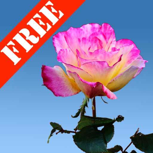 Rose Garden Free LWP