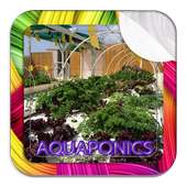 Aquaponics Design Ideas on 9Apps
