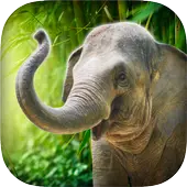 Téléchargement de l'application Real Talking Elephant 2023 - Gratuit - 9Apps