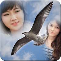 Birds Mulit Photo Frame on 9Apps