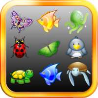Onet Classic on 9Apps