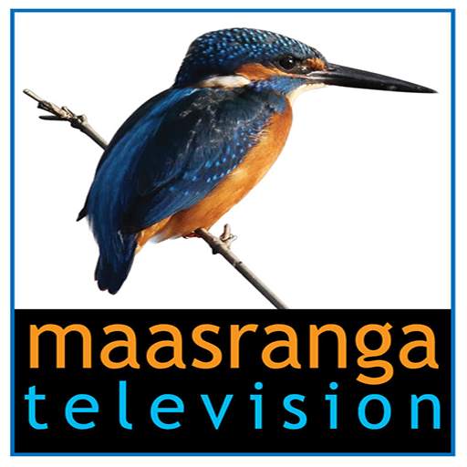 maasranga television