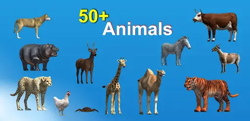 Animal sounds for kids Fun Learning APK Download 2023 - Free - 9Apps Animal sounds for kids Fun Learning APK Download 2023 - Free - 9Apps