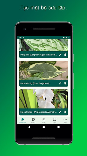 PlantSnap screenshot 4
