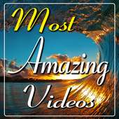 Most Amazing Videos