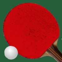 Table Tennis Score