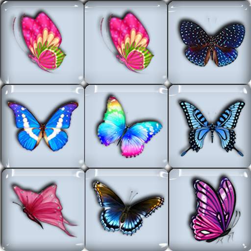 Onet Animals Butterfly