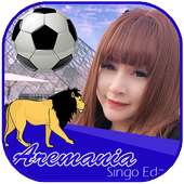 Aremania Photo Frame on 9Apps