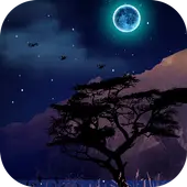 Real Live Weather Wallpaper APK Download 2023 - Free - 9Apps