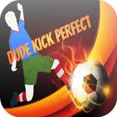 Dude Kick Perfect