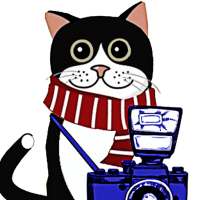 Lustige Glamouröse miniaturen  der Paparazzi-Katze