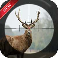 Animal hunting games - New