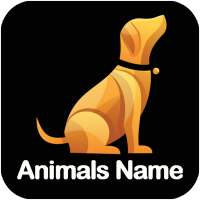 Learn Animal Names in English Spelling