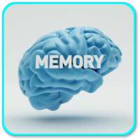 Memory Techniques