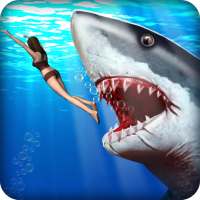Zły Shark Hunter