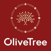 Olive Tree Ventures