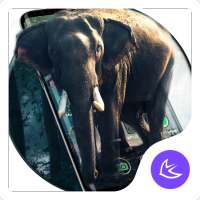 Elephant APUS Launcher theme