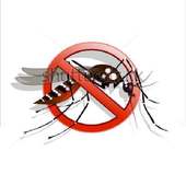 Fight Dengue TN