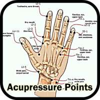 Acupressure Points on 9Apps