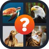 Guess the Animal Picture - Free Quiz Game