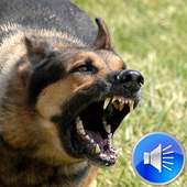 Dog Barking Sounds Ringtones on 9Apps