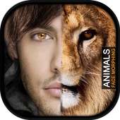 Animals Face Morphing on 9Apps