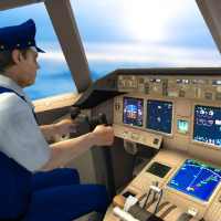 Simulateur de vol 2019 - Volant libre - Flight Sim