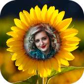 Yellow Flower Photo Frame : Flower Photo Editor HD on 9Apps