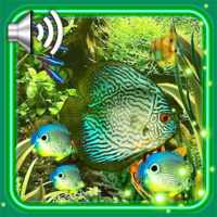 Aquarium Fishes LWP